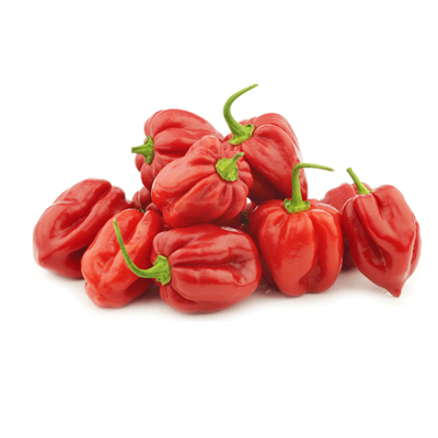 Red hot pepper